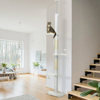 Arbre à chat plafond réglable, blanc