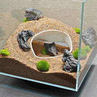 Grotte 3D dans un aménagement de terrarium