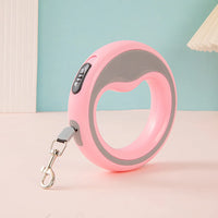 Laisse rétractable automatique pour chien – chien en promenade avec la laisse