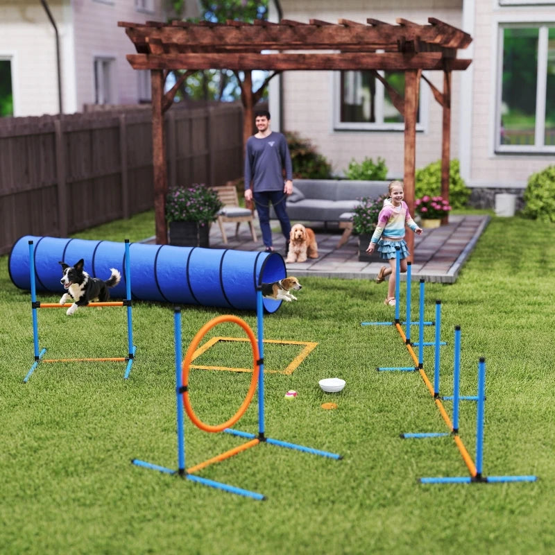 Kit d'agilité 8 pièces pour chien - vue d'ensemble des éléments