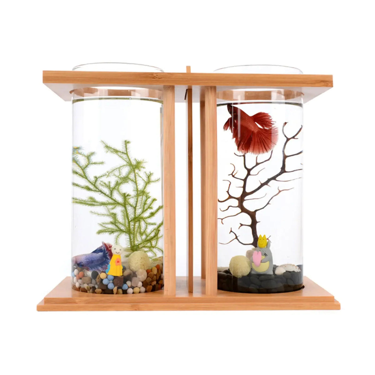 Mini aquarium en verre sur socle en bambou