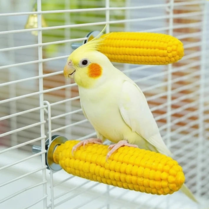 Perchoir maïs pour oiseau - petit format