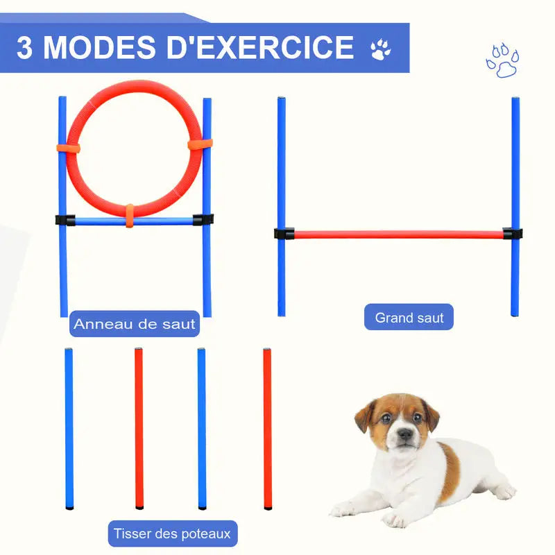 Vue d'ensemble du set d'agilité pliable pour chien