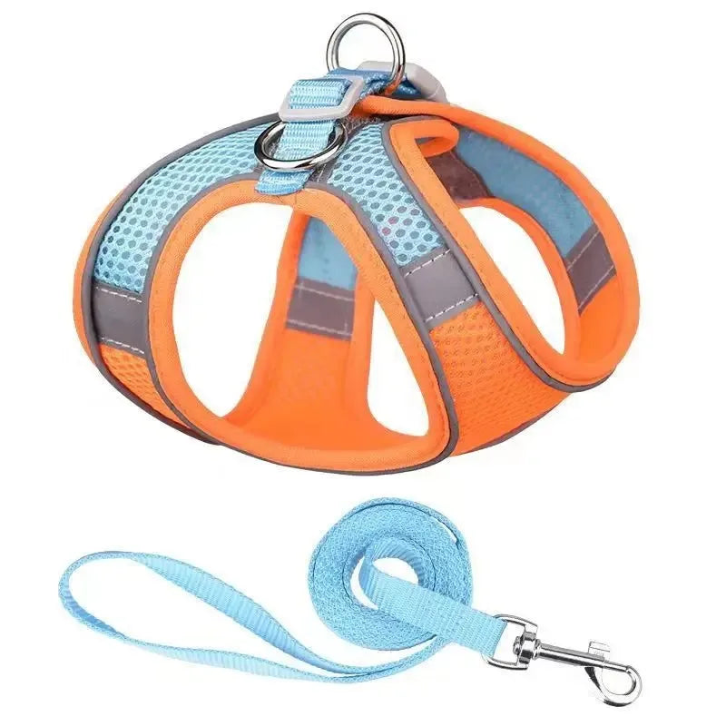 Harnais ajustable pour chien et chat – vue de dos