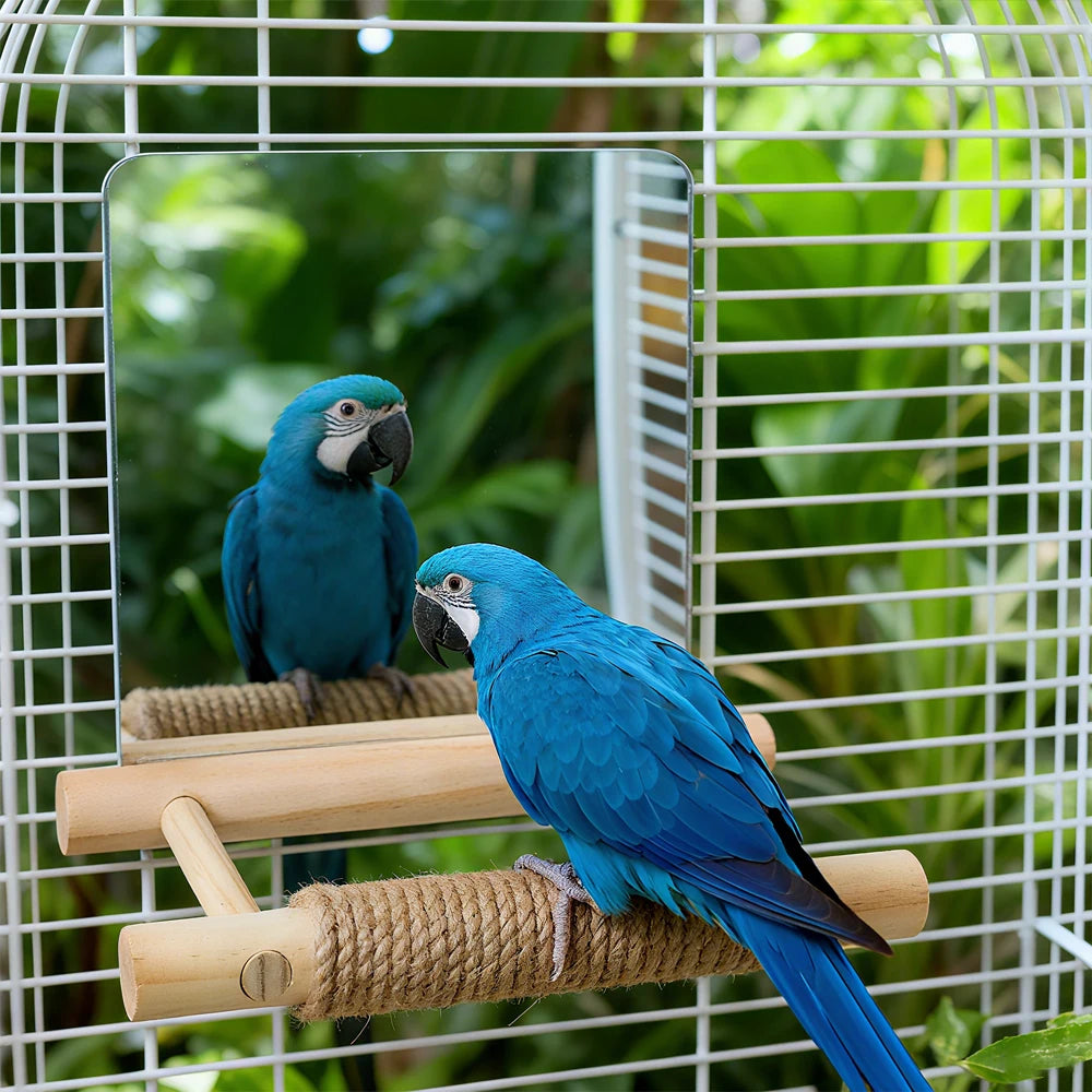 Perchoir en corde de jute avec miroir pour oiseau
