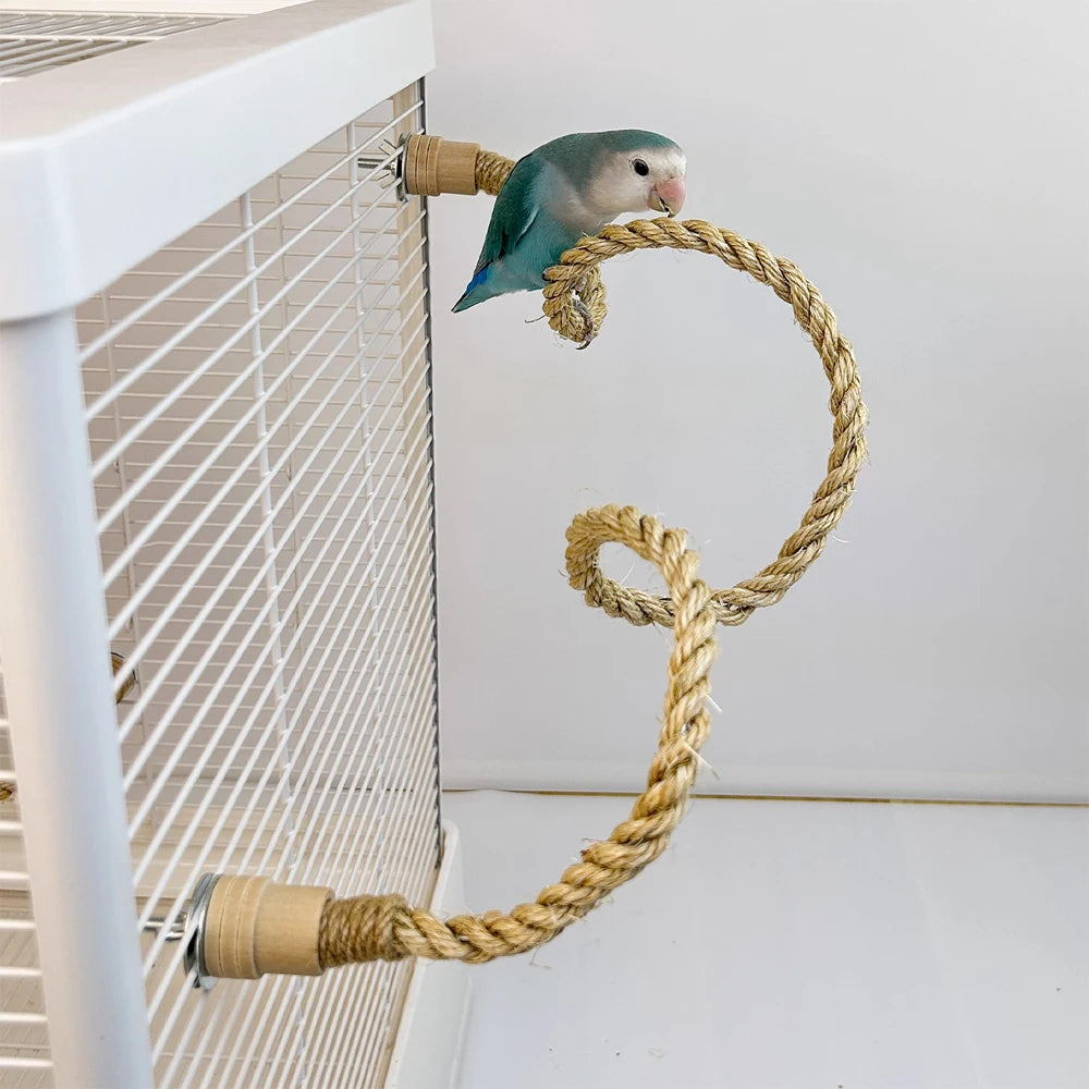 Extrémité sécurisée de la corde à grimper pour cage