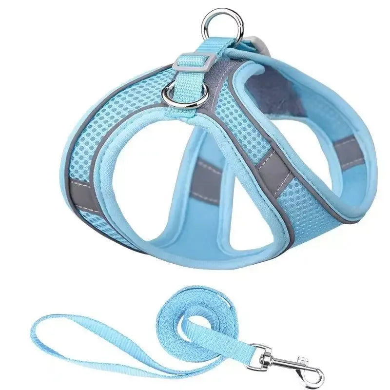 Harnais ajustable pour chien et chat – présentation des tailles disponibles