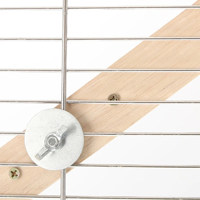 Hamster grimpant sur une échelle en bois