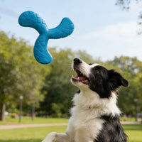 Boomerang volant pour chien - vue de profil