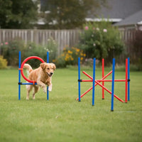 Set d'agilité 3-en-1 pour chien avec poteau, cerceau et haie