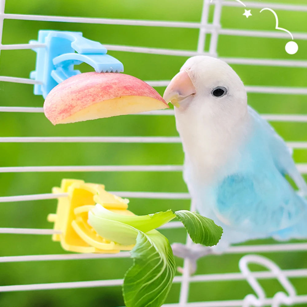 Pince porte-fruits pour oiseau - avec un morceau de fruit