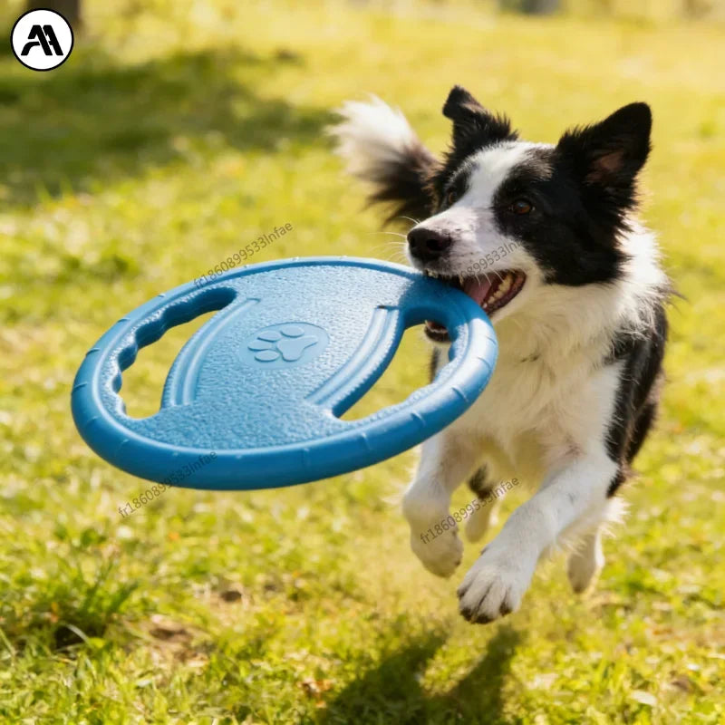 Frisbee indestructible pour chien - vue d'ensemble