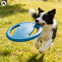 Frisbee indestructible pour chien - vue d'ensemble