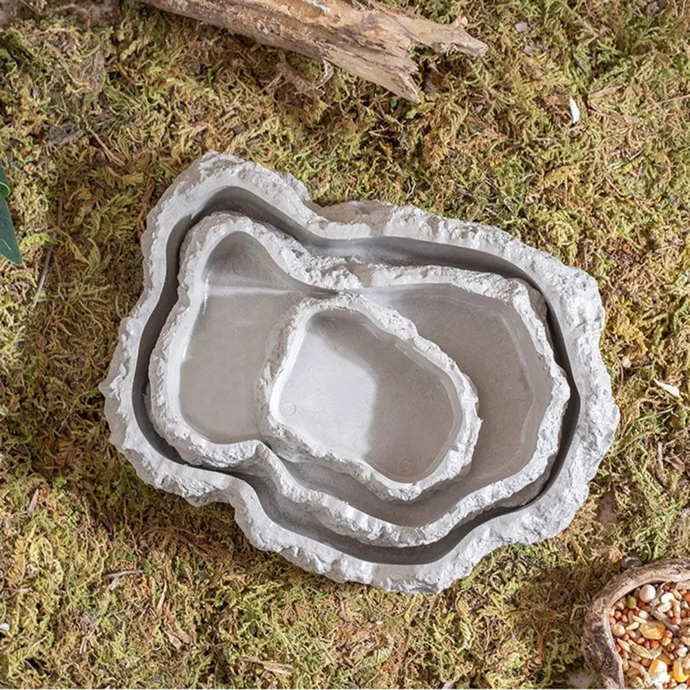 Gamelle anti-dérapante avec eau