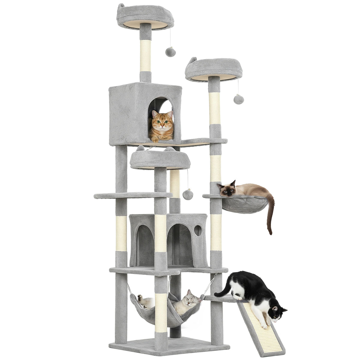 Nid douillet du grand arbre à chat