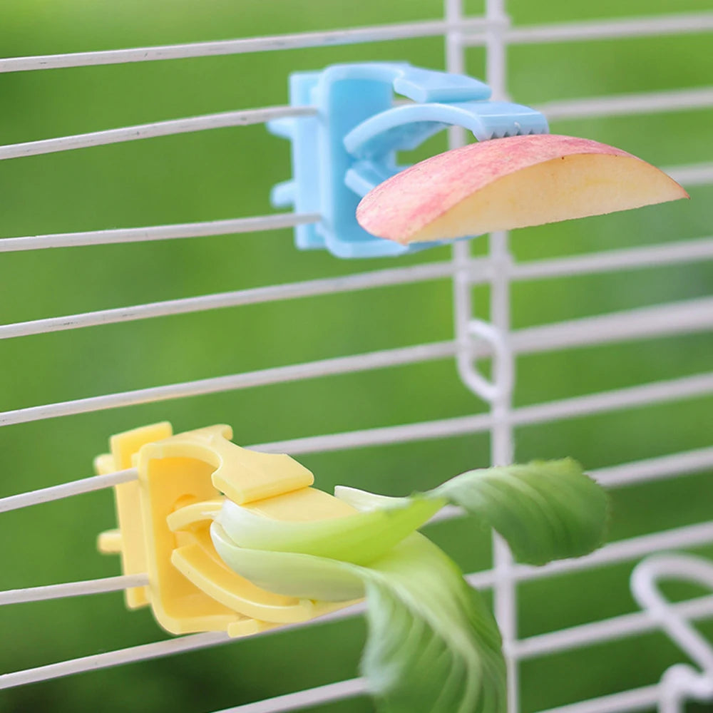 Lot de pinces porte-fruits pour oiseau