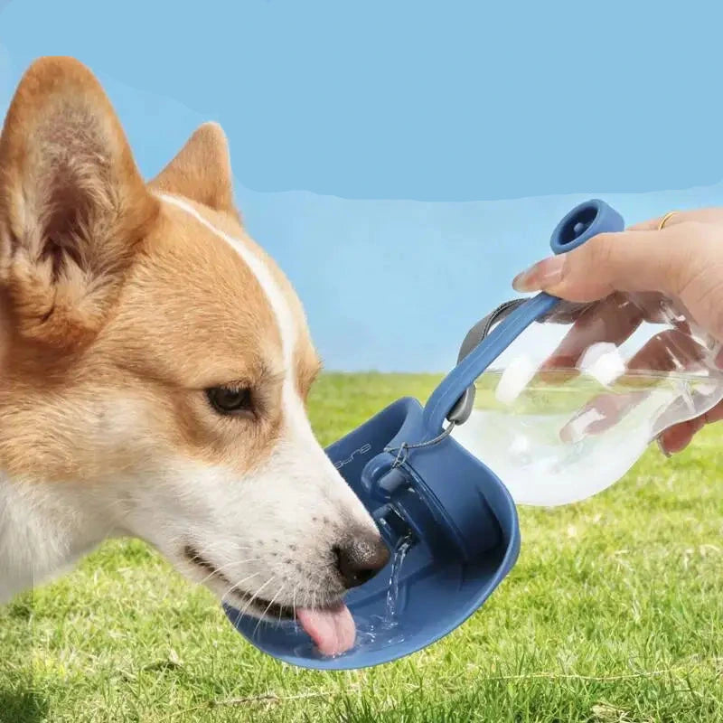 Gourde pliable pour chien et chat - fermée