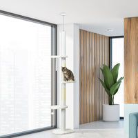 Chat grimpant sur l'arbre à chat plafond