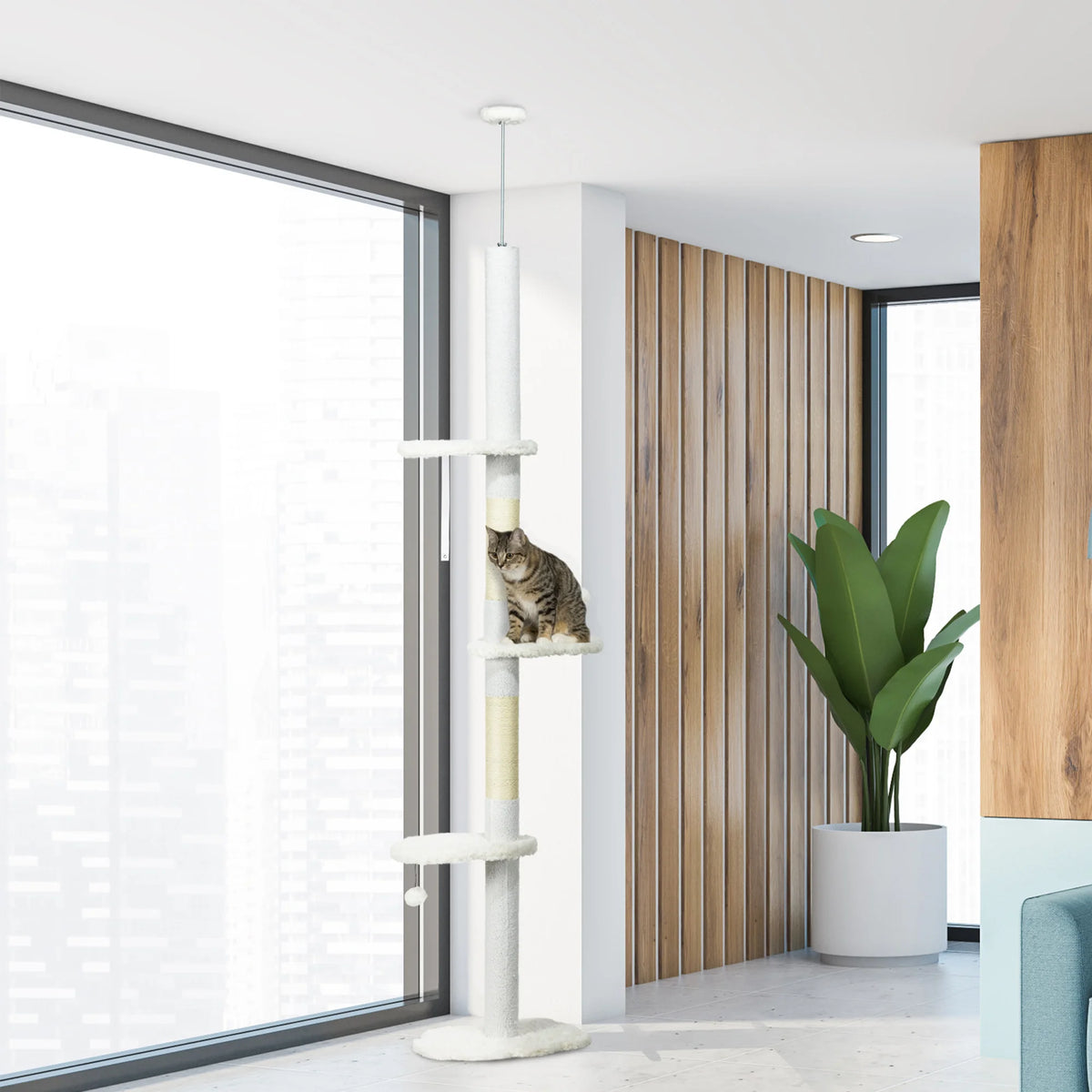 Chat grimpant sur l'arbre à chat plafond