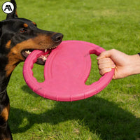 Frisbee indestructible pour chien - chien tenant le frisbee dans la gueule