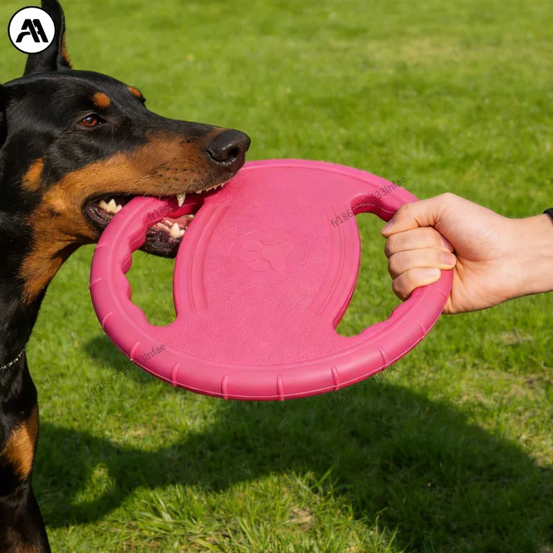 Frisbee indestructible pour chien - chien tenant le frisbee dans la gueule