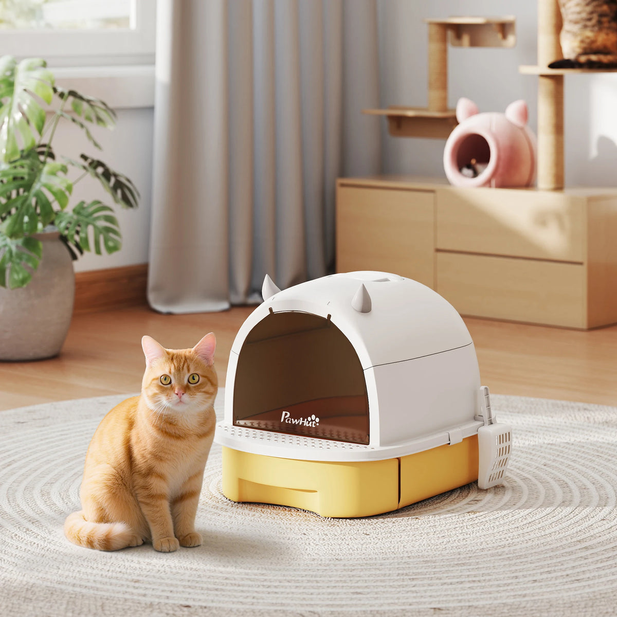 Chat entrant dans la maison de toilette fermée
