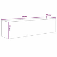 Aquarium rectangulaire vu de face avec décor