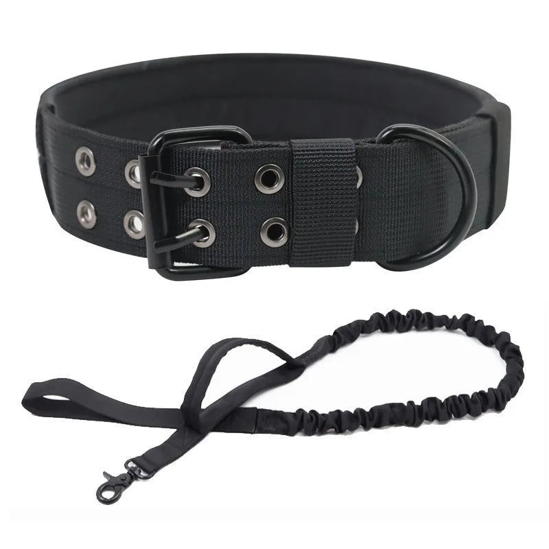 Laisse ajustable pour chien en situation, vue 3