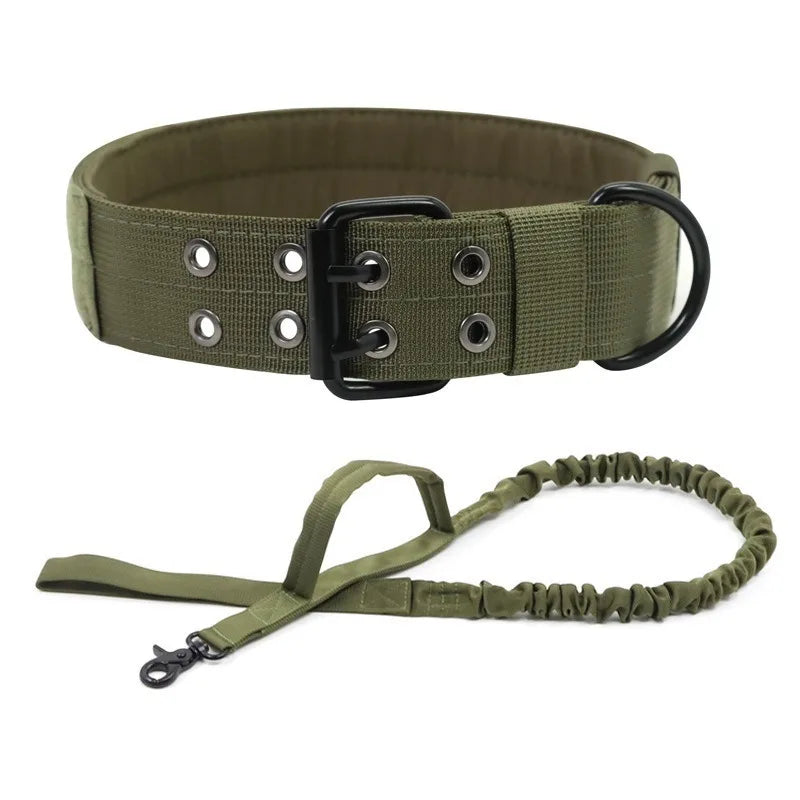 Laisse ajustable pour chien en situation, vue 2
