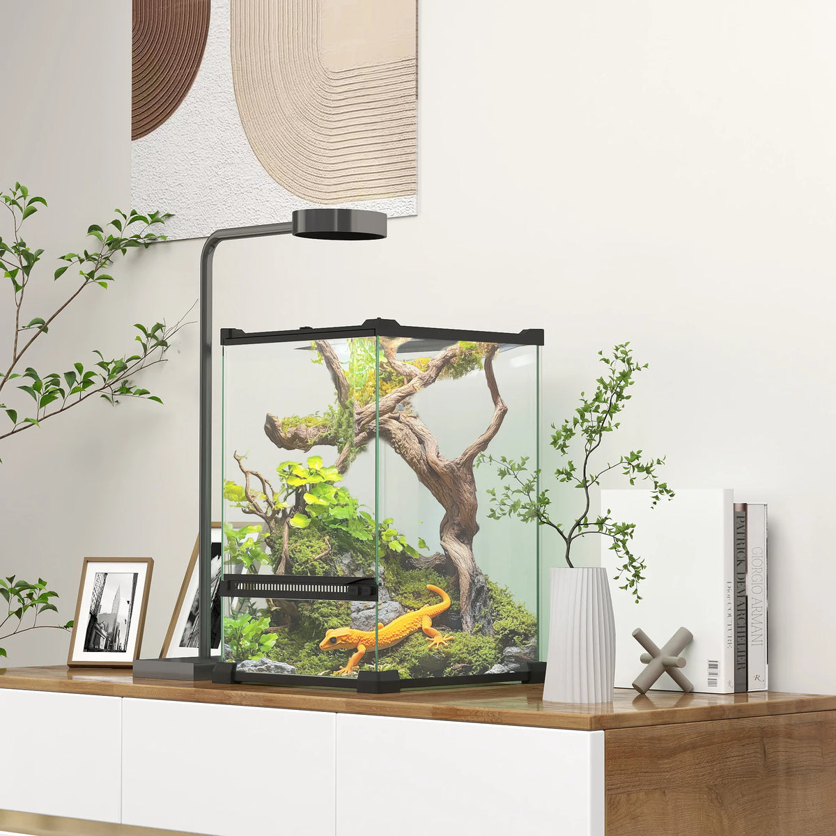 Terrarium en verre 12L - vue de face