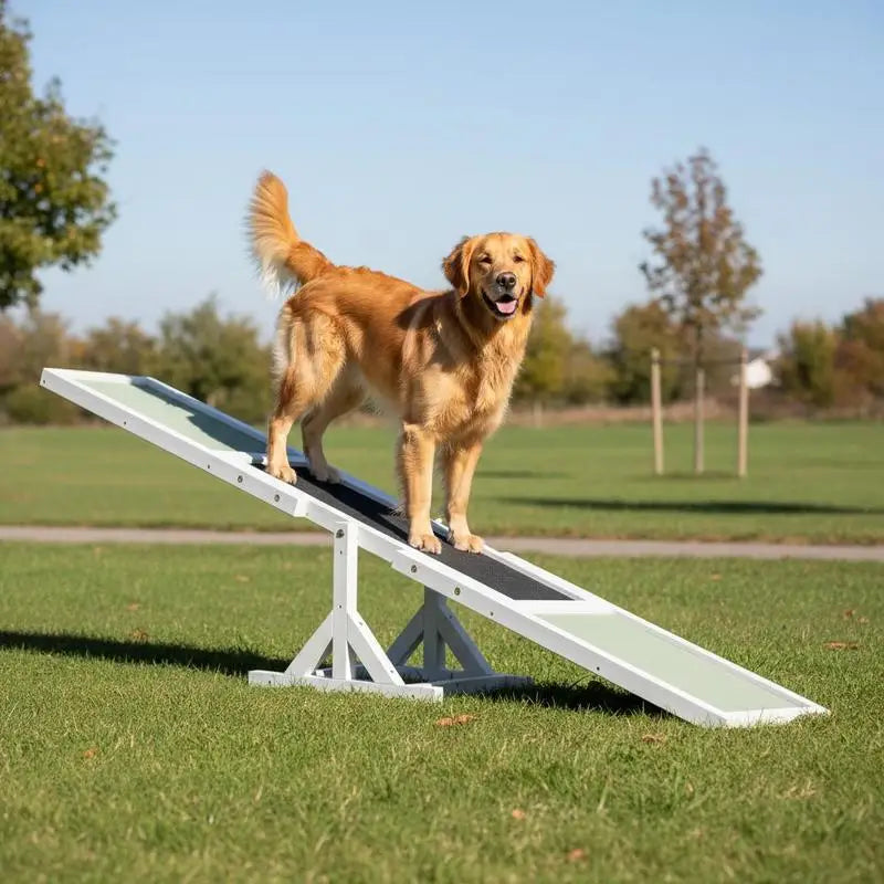 Balançoire d'agilité en bois blanche pour chien