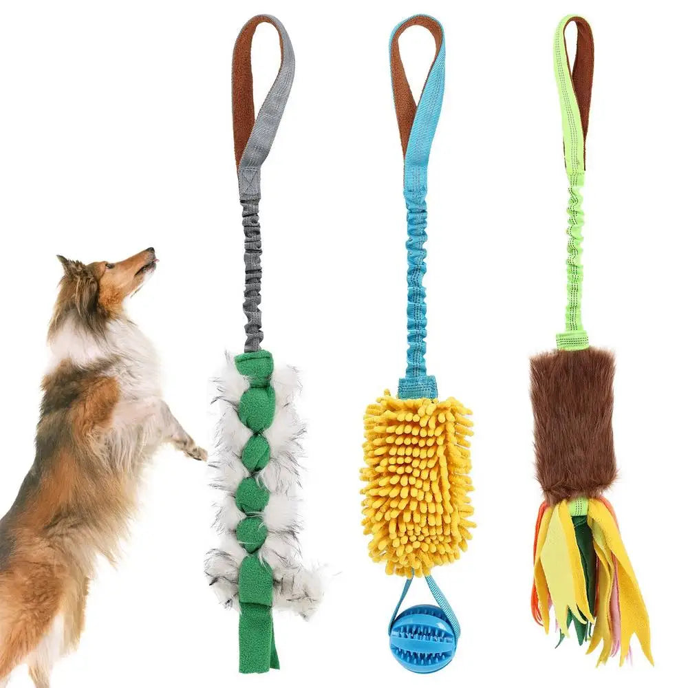 Corde à mâcher pour chien avec cordon élastique