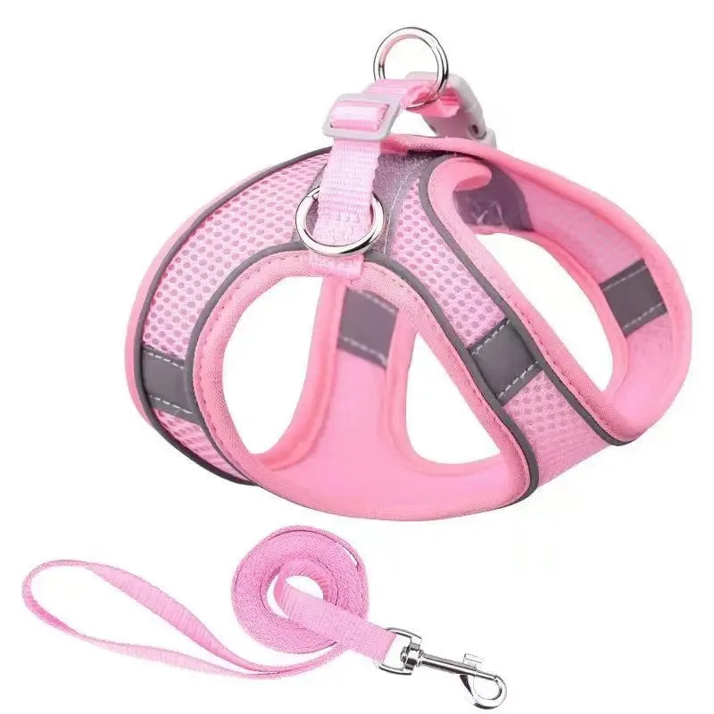 Harnais ajustable pour chien et chat – vue d'ensemble du harnais