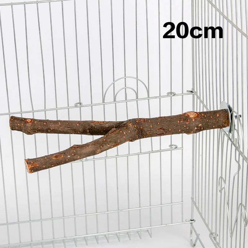 Détail du bois naturel du perchoir pour oiseau