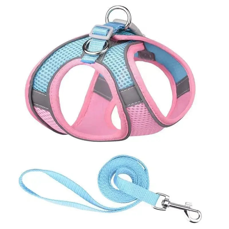 Harnais ajustable pour chien et chat – vue de dessus