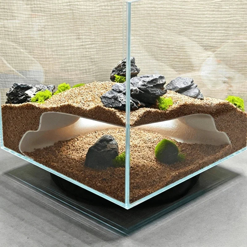 Grotte 3D avec entrée pour reptile