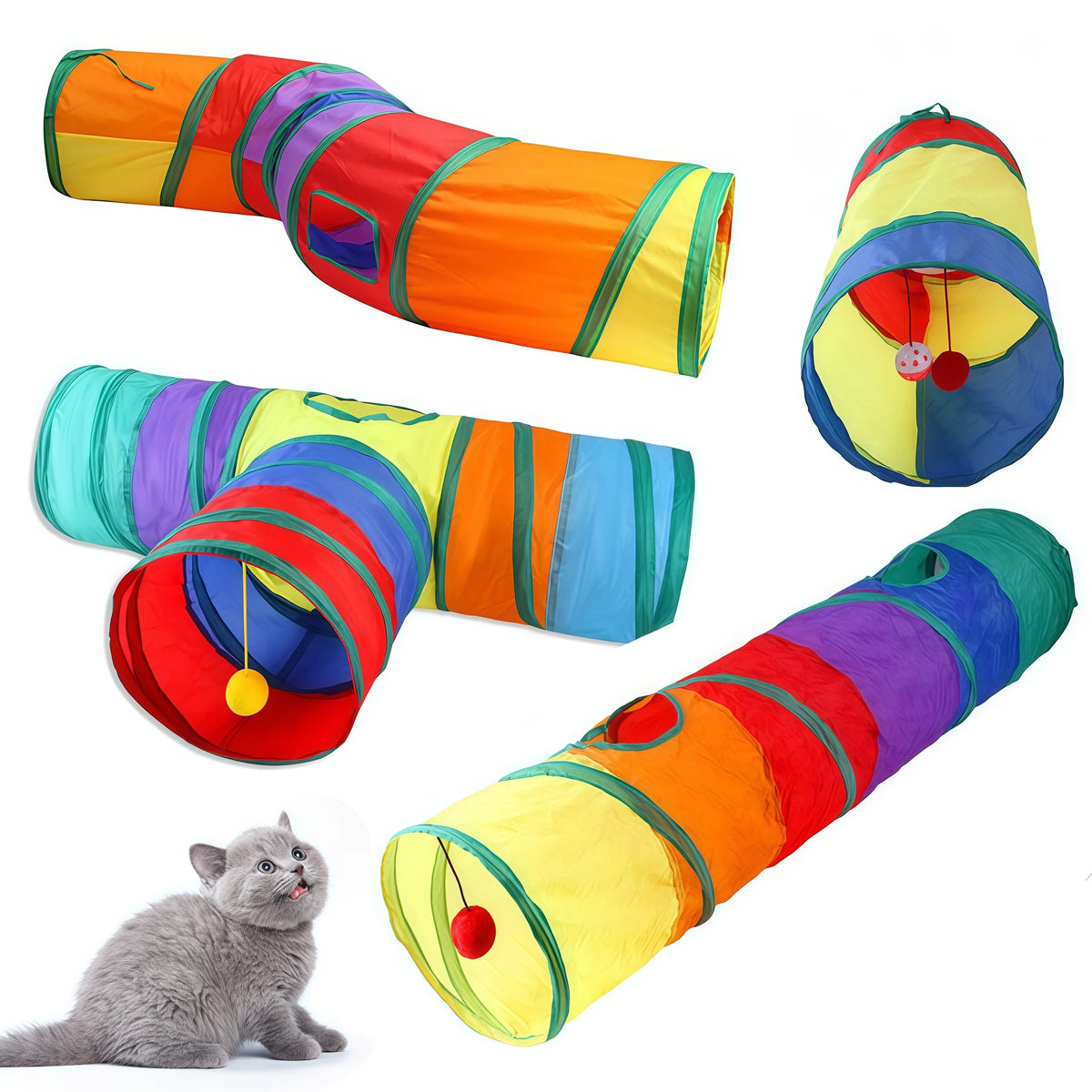 Chat jouant dans le tunnel