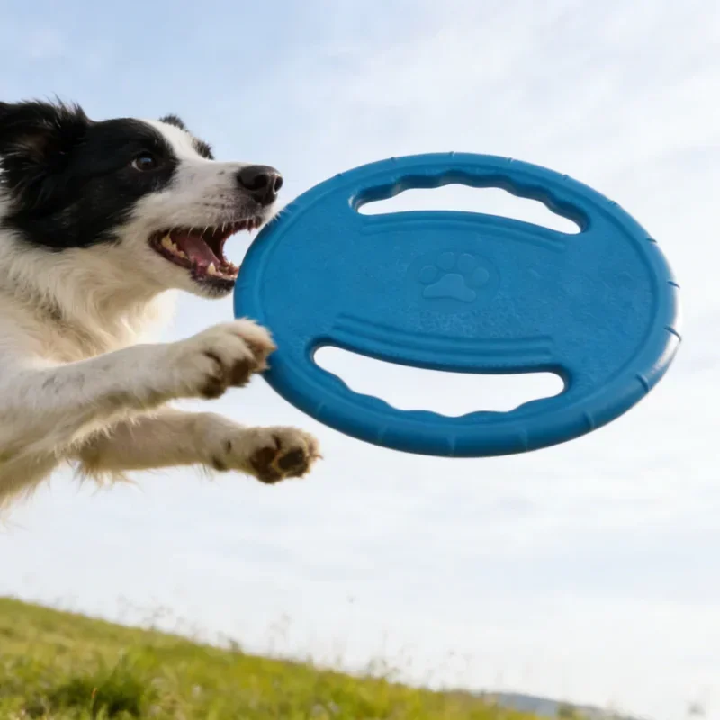 Frisbee indestructible pour chien - gros plan sur la matière souple