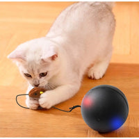 Chat jouant avec la balle rotative automatique