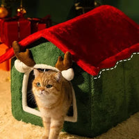 Chat endormi dans son couchage moelleux