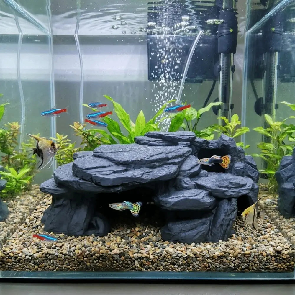 Poisson près de l'ornement rocher 3D