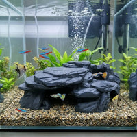 Poisson près de l'ornement rocher 3D