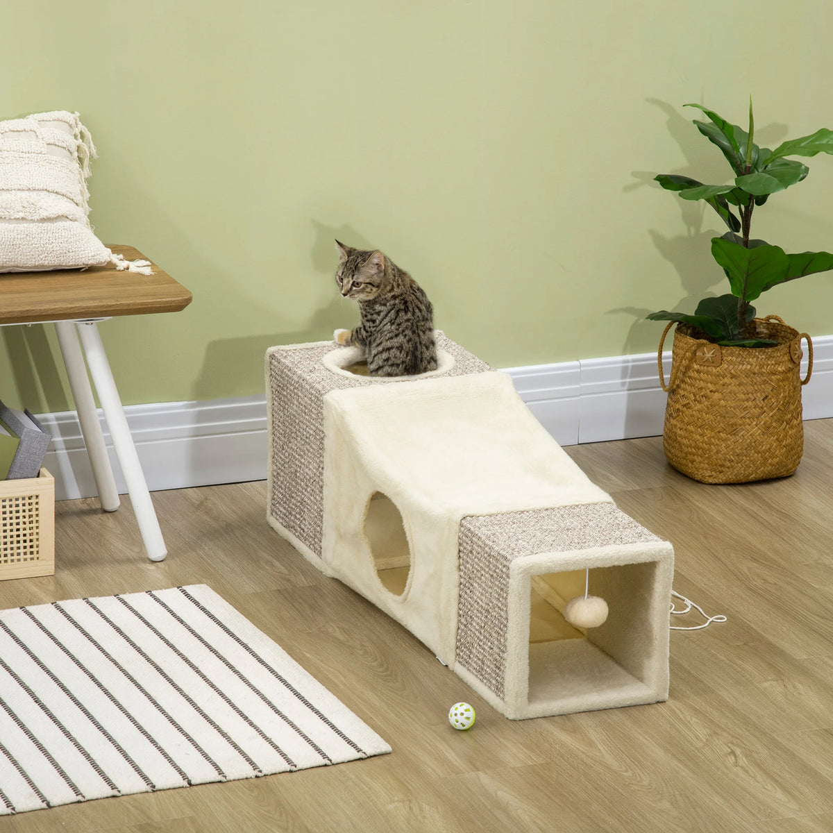 Chat dans le tunnel en sisal