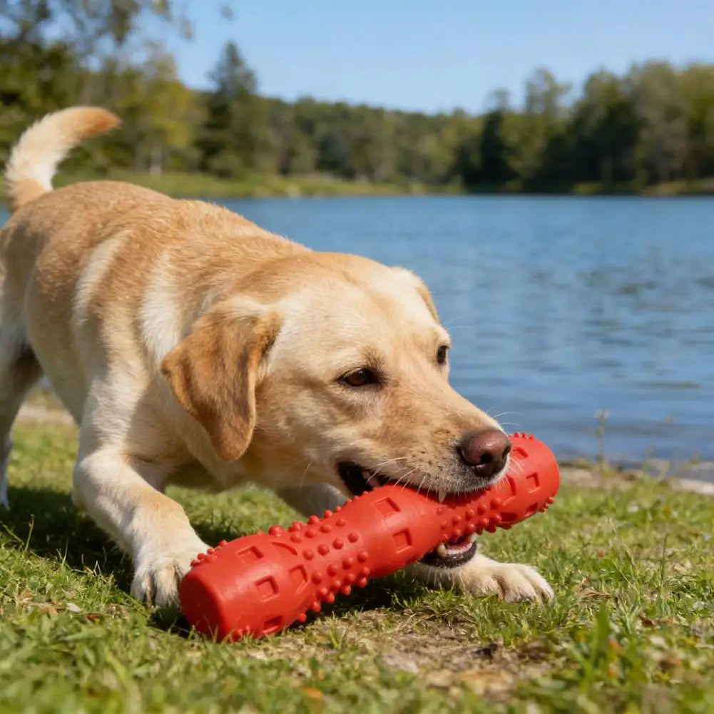 Bâton à mâcher pour chien - détail du bout du bâton