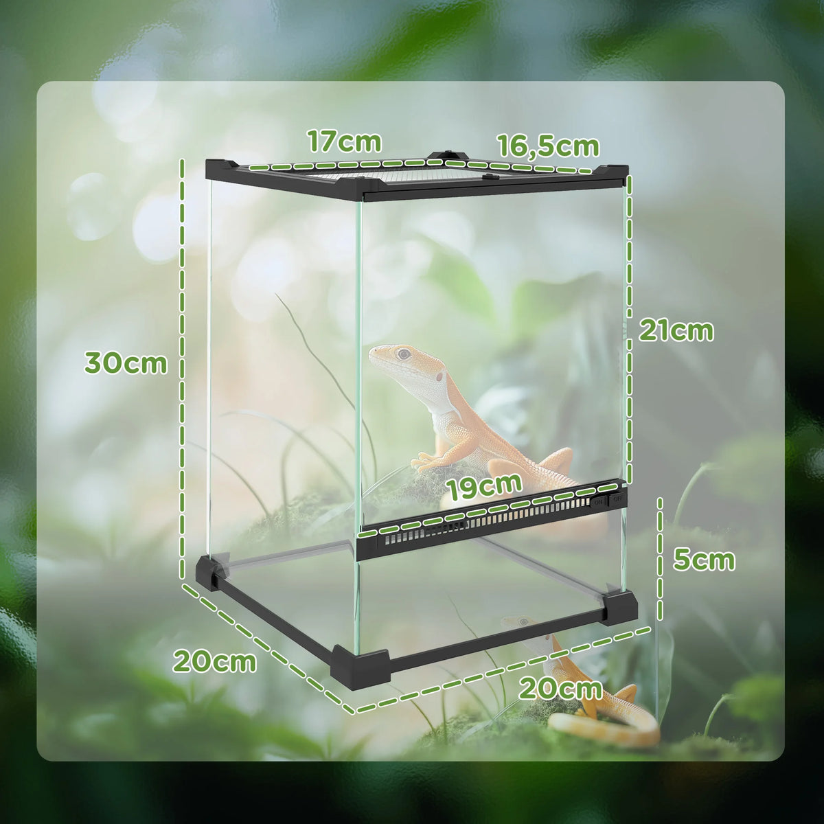 Terrarium en verre pour reptiles - vue en situation avec substrat