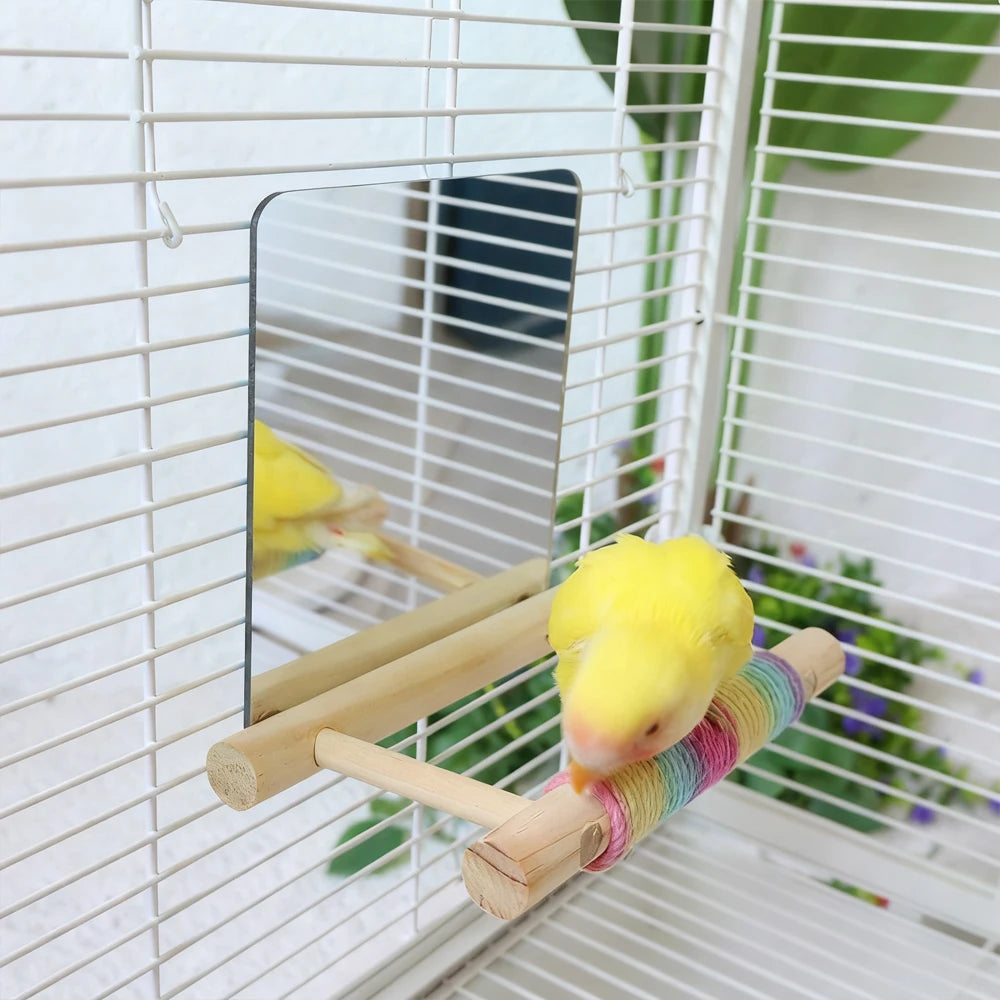 Oiseau posé sur un perchoir en corde de jute