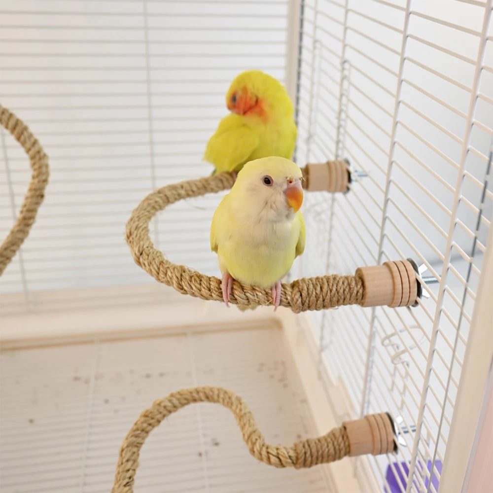 Oiseau perché sur une corde à grimper flexible