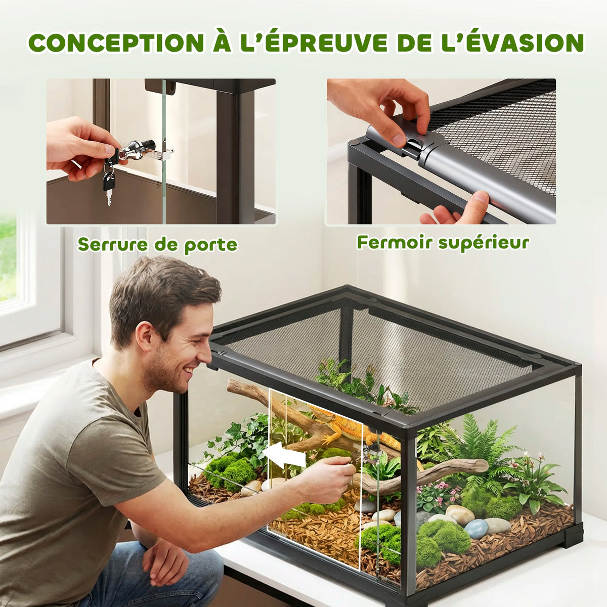 Terrarium en verre aménagé pour petit reptile ou hamster