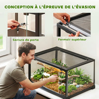 Terrarium en verre aménagé pour petit reptile ou hamster