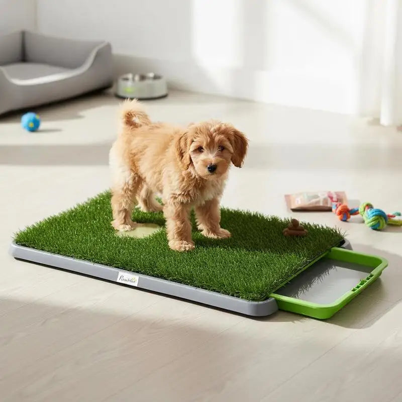 Tapis de propreté gazon artificiel pour chien